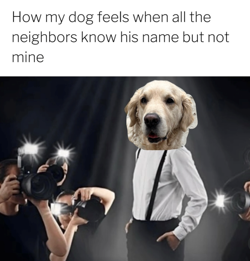 How my dog feels when all the neighbors know his name but not mine