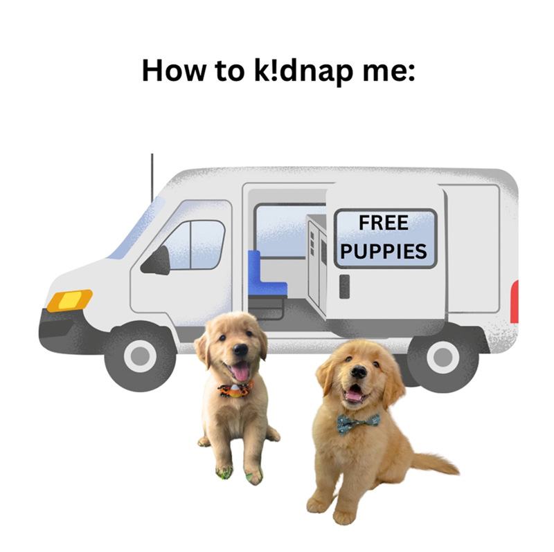 How to kidnap me: FREE PUPPIES