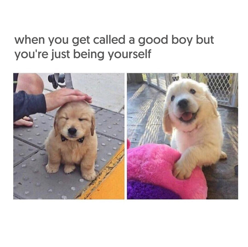 when you get called a good boy but you're just being yourself W