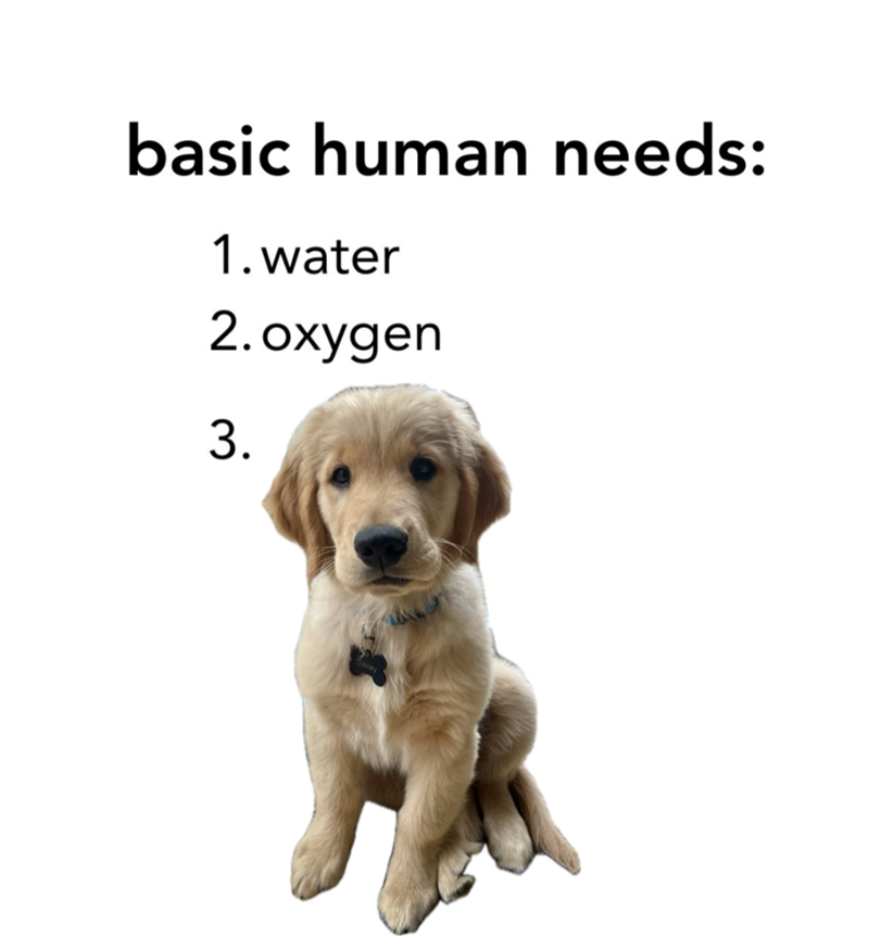basic human needs: 1. water 2. oxygen 3.