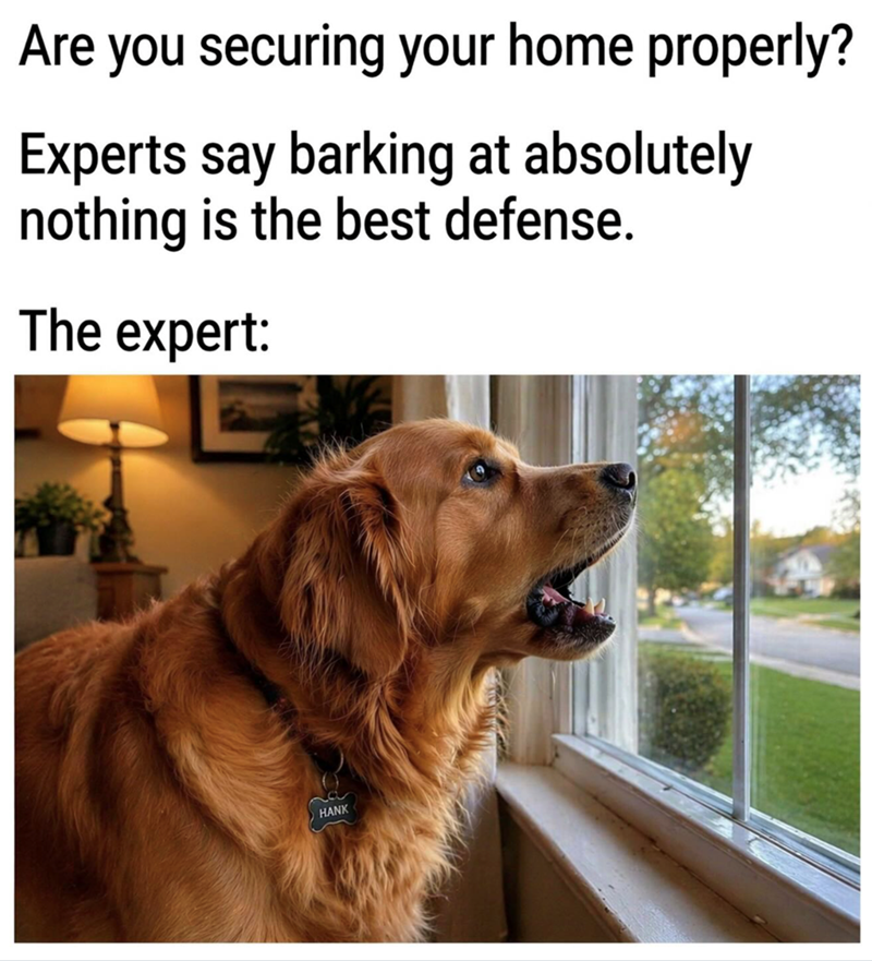 Are you securing your home properly? Experts say barking at absolutely nothing is the best defense. The expert: HANK
