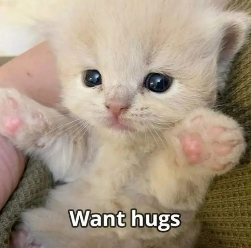 Want hugs