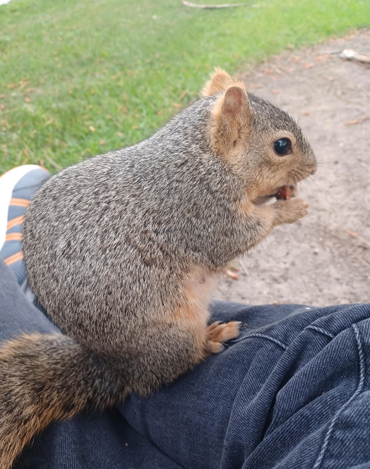 Cheezburger Image 10625172224