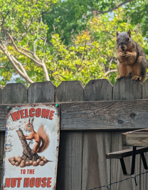 WELCOME TO THE NUT HOUSE