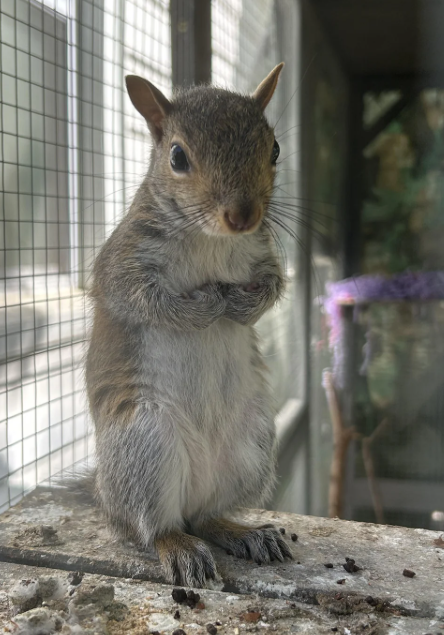 Cheezburger Image 10625174016