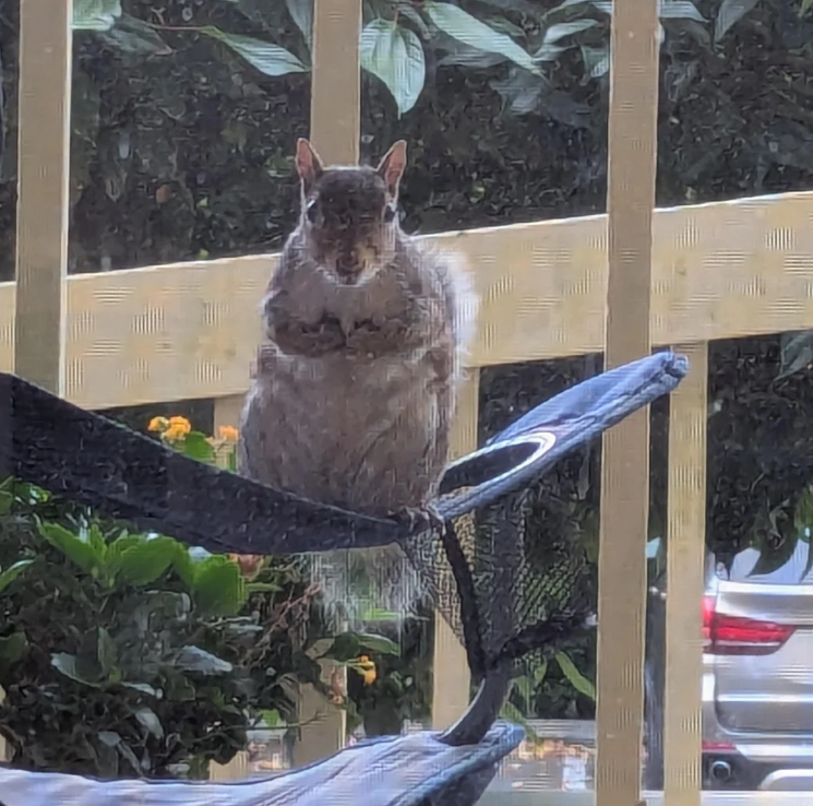 Cheezburger Image 10625174528