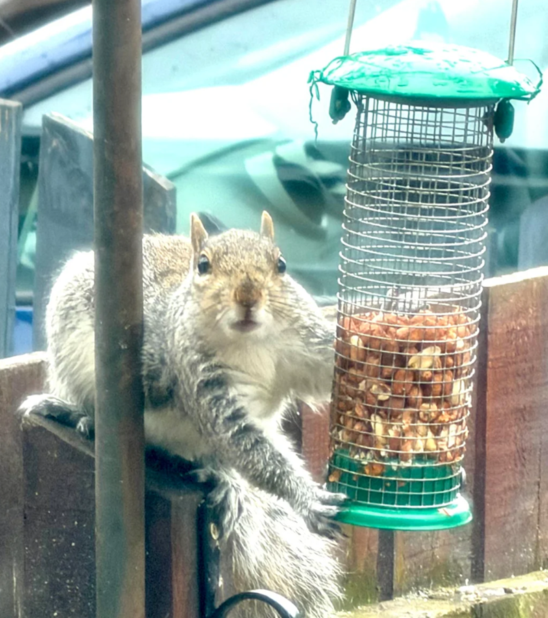 Cheezburger Image 10625175552