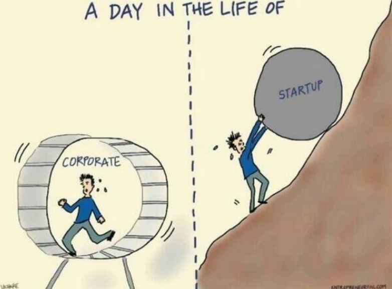 HARE A DAY IN THE LIFE OF CORPORATE STARTUP