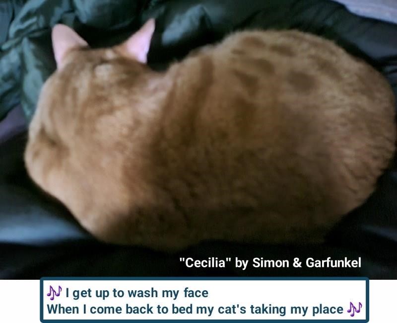 Cheezburger Image 10625184256