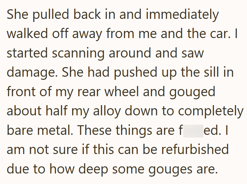 She pulled back in and immediately walked off away from me and the car. I started scanning around and saw damage. She had pushed up the sill in front of my rear wheel and gouged about half my alloy down to completely bare metal. These things are f am not sure if this can be refurbished ed. I due to how deep some gouges are.