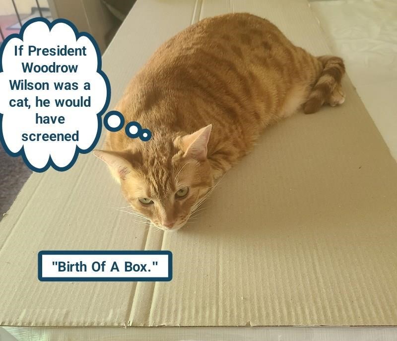 Cheezburger Image 10625192448