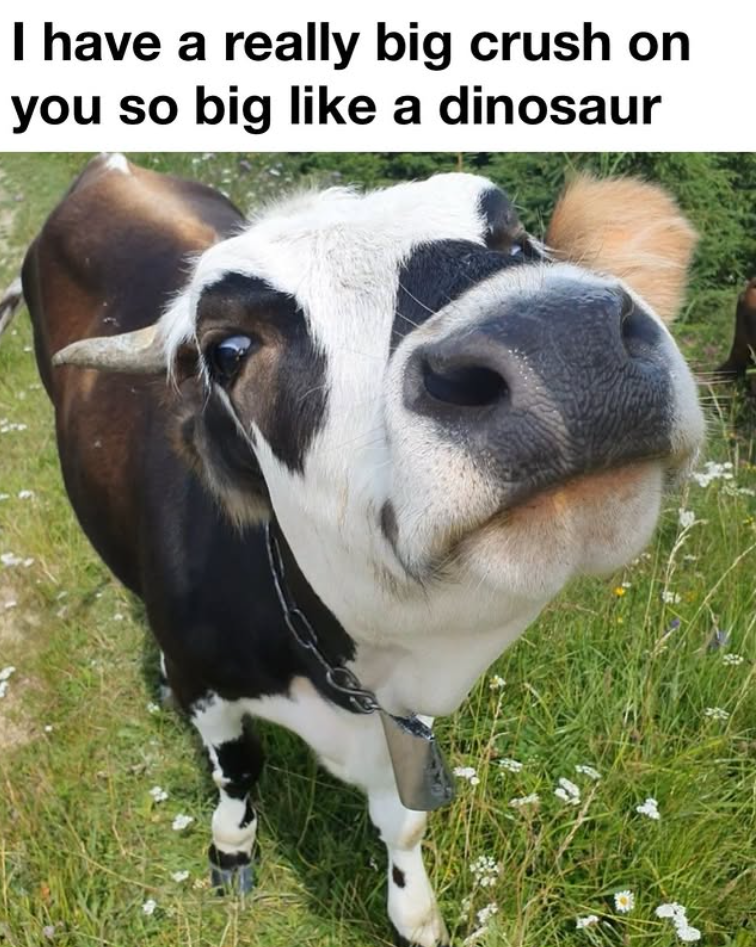I have a really big crush on you so big like a dinosaur