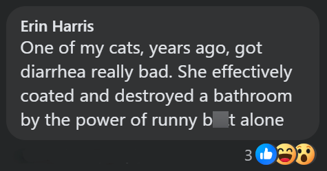 Erin Harris One of my cats, years ago, got diarrhea really bad. She effectively coated and destroyed a bathroom by the power of runny bot alone
