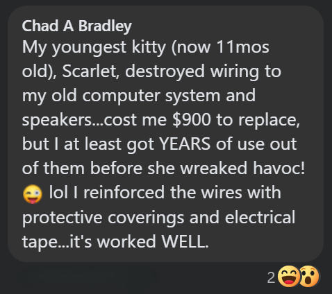Chad A Bradley My youngest kitty (now 11mos old), Scarlet, destroyed wiring to my old computer system and speakers...cost me $900 to replace, but I at least got YEARS of use out of them before she wreaked havoc! → lol I reinforced the wires with protective coverings and electrical tape...it's worked WELL. 200
