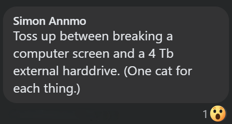 Simon Annmo Toss up between breaking a computer screen and a 4 Tb external harddrive. (One cat for each thing.) 1889