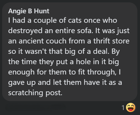 Angie B Hunt I had a couple of cats once who destroyed an entire sofa. It was just an ancient couch from a thrift store so it wasn't that big of a deal. By the time they put a hole in it big enough for them to fit through, I gave up and let them have it as a scratching post. ED 12