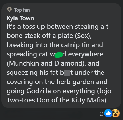 Top fan Kyla Town It's a toss up between stealing a t- bone steak off a plate (Sox), breaking into the catnip tin and spreading cat wed everywhere (Munchkin and Diamond), and squeezing his fat bot under the covering on the herb garden and going Godzilla on everything (Jojo Two-toes Don of the Kitty Mafia). 20
