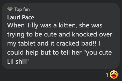 Top fan Lauri Pace When Tilly was a kitten, she was trying to be cute and knocked over my tablet and it cracked bad!! I could help but to tell her "you cute Lil sh" 1 ED