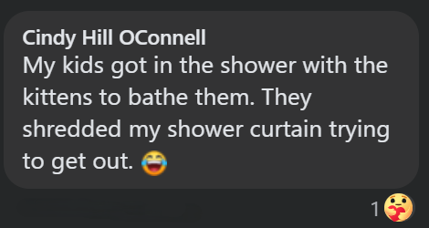 Cindy Hill OConnell My kids got in the shower with the kittens to bathe them. They shredded my shower curtain trying to get out. 1