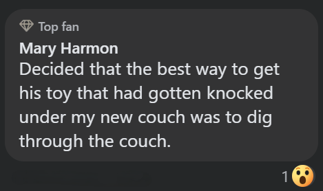 Top fan Mary Harmon Decided that the best way to get his toy that had gotten knocked under my new couch was to dig through the couch. 10