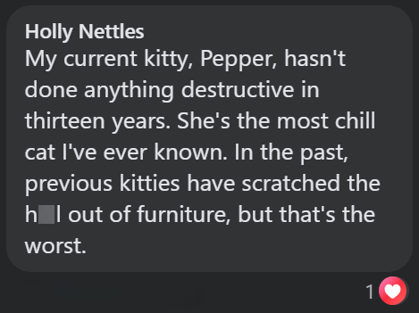 Holly Nettles My current kitty, Pepper, hasn't done anything destructive in thirteen years. She's the most chill cat I've ever known. In the past, previous kitties have scratched the h I out of furniture, but that's the worst. 1