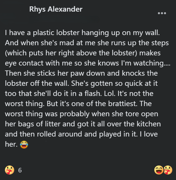 Rhys Alexander I have a plastic lobster hanging up on my wall. And when she's mad at me she runs up the steps (which puts her right above the lobster) makes eye contact with me so she knows I'm watching.... Then she sticks her paw down and knocks the lobster off the wall. She's gotten so quick at it too that she'll do it in a flash. Lol. It's not the worst thing. But it's one of the brattiest. The worst thing was probably when she tore open her bags of litter and got it all over the kitchen and