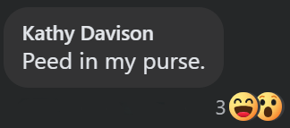 Kathy Davison Peed in my purse. 300