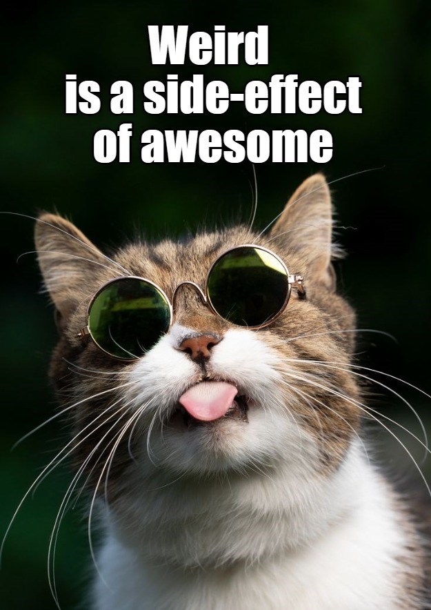 Cheezburger Image 10625209088