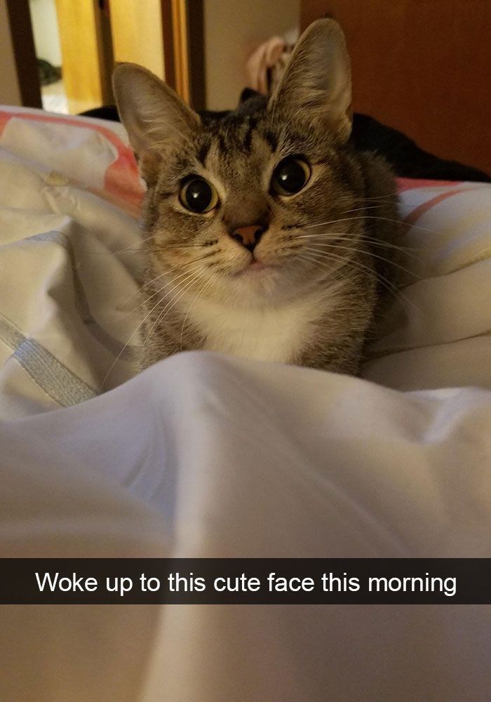 Woke up to this cute face this morning