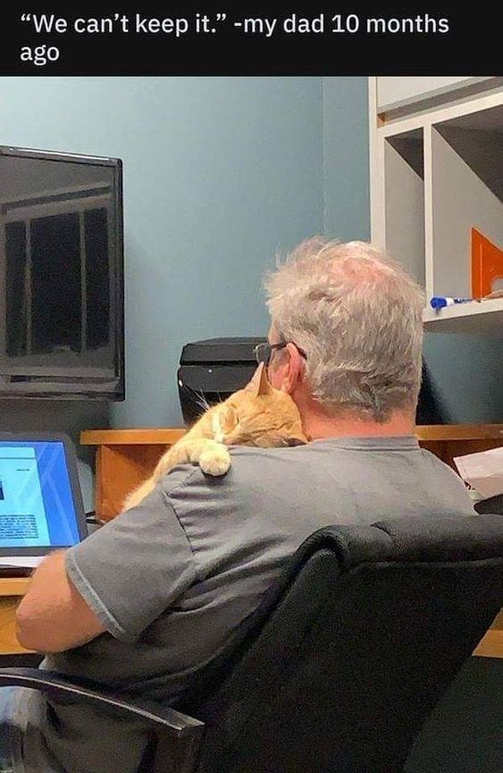 "We can't keep it." -my dad 10 months ago