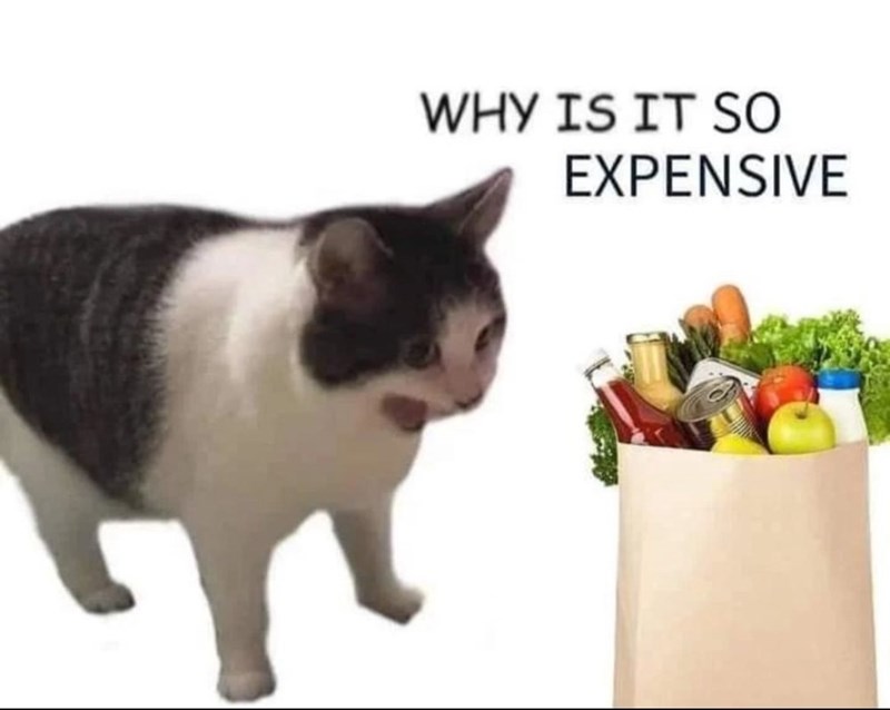 WHY IS IT SO EXPENSIVE