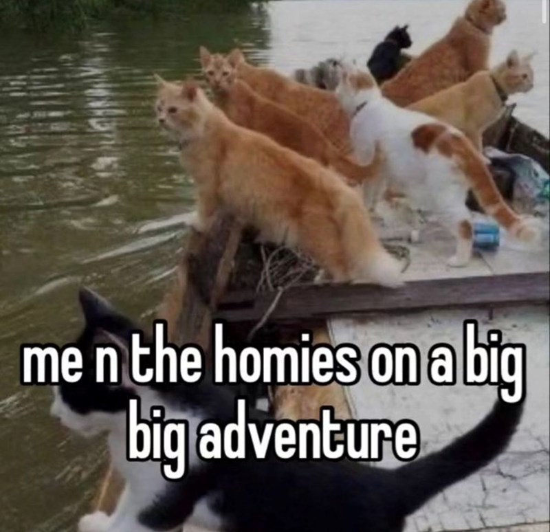 me n the homies on a big big adventure