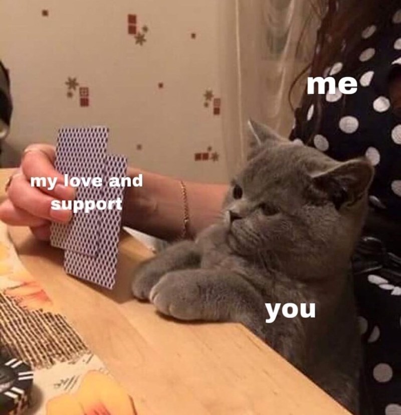 my love and support you me