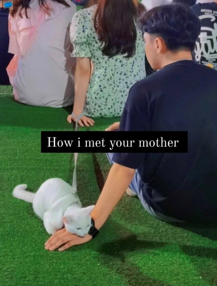 How i met your mother NEVER SY