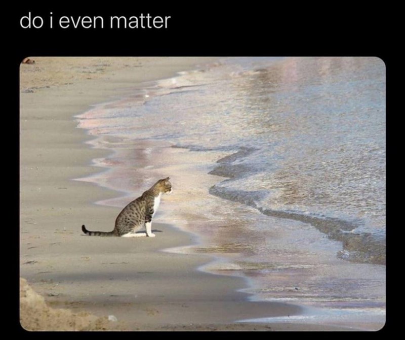 do i even matter