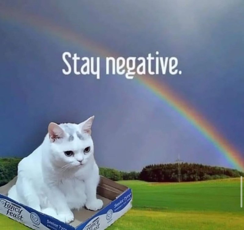 Fancy Feast Senior Tyr Stay negative. Senior D