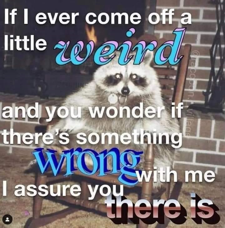 If I ever come off a little weird and you wonder if there's something Craccoon..village Wrong with me I assure you there is