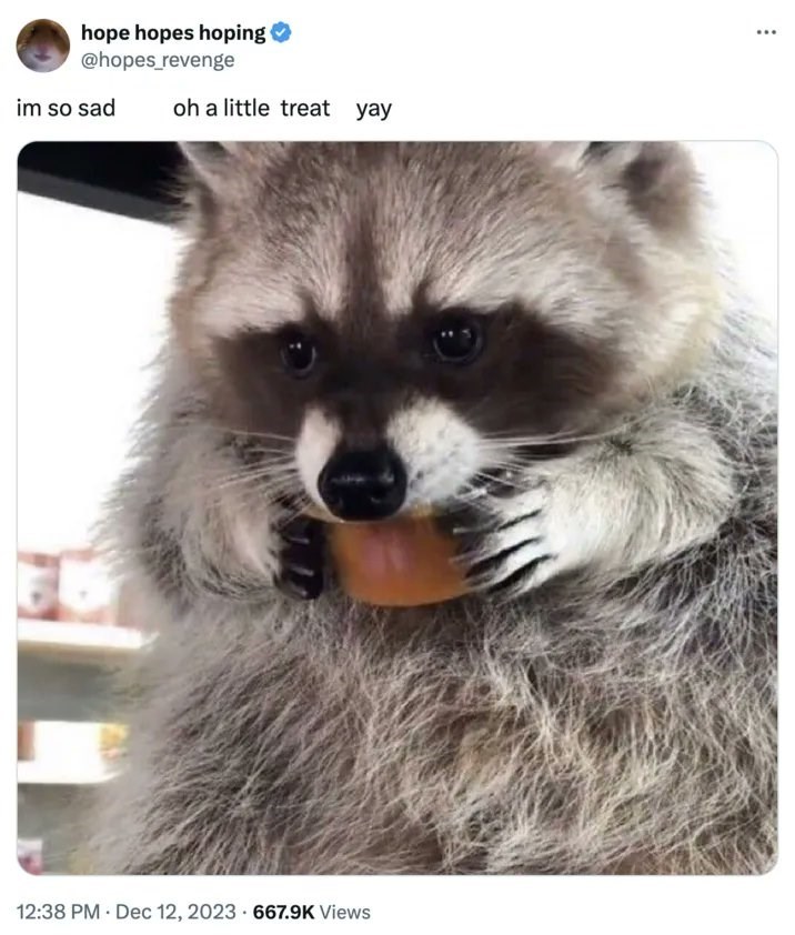 hope hopes hoping @hopes revenge im so sad oh a little treat yay 12:38 PM Dec 12, 2023 667.9K Views