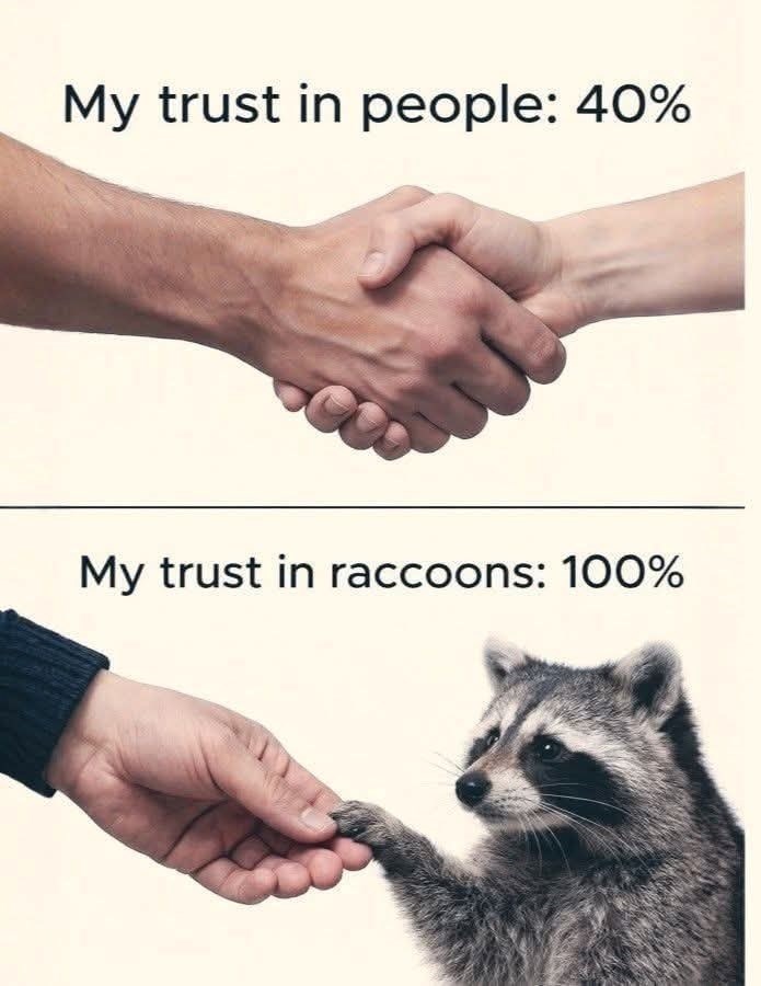 My trust in people: 40% My trust in raccoons: 100%