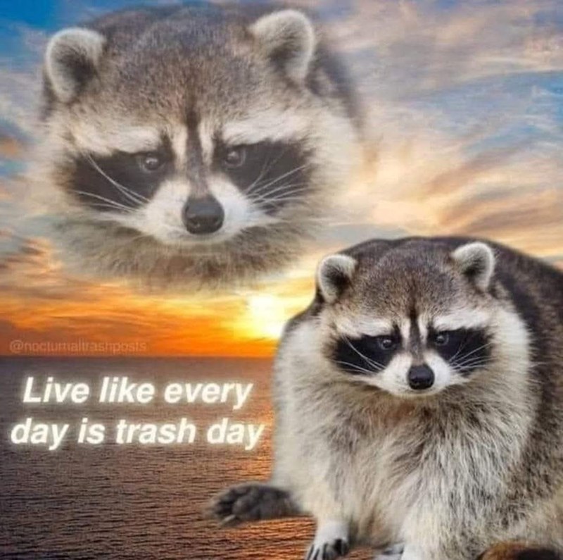 @noctumaltrashposis Live like every day is trash day