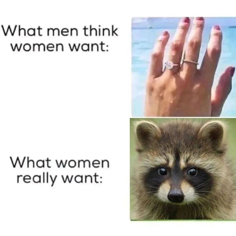 What men think women want: What women really want: