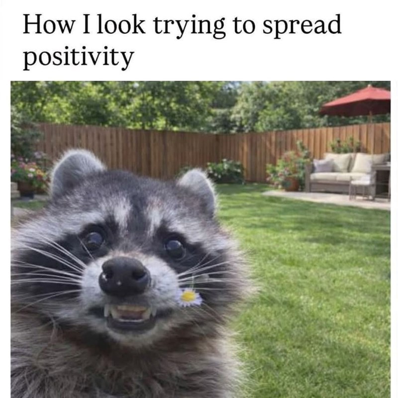How I look trying to spread positivity