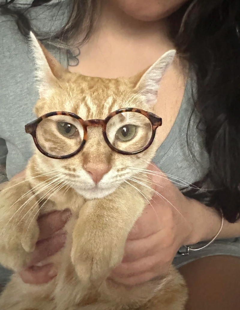 Cheezburger Image 10625224448