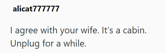 alicat777777 I agree with your wife. It's a cabin. Unplug for a while.