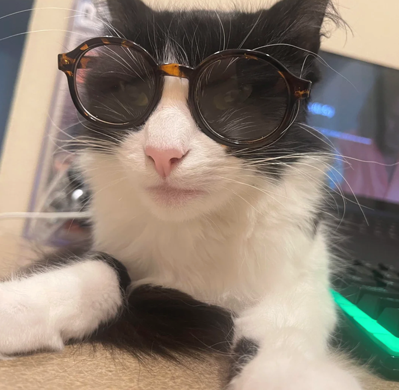 Cheezburger Image 10625228032