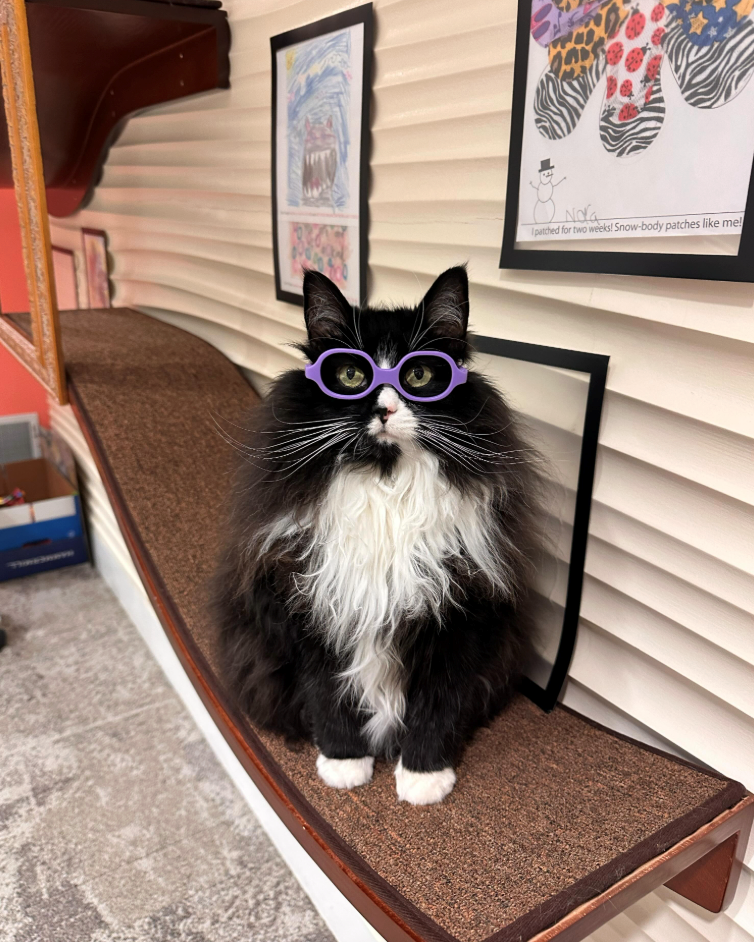 Noa Ipatched for two weeks! Snow-body patches like me!