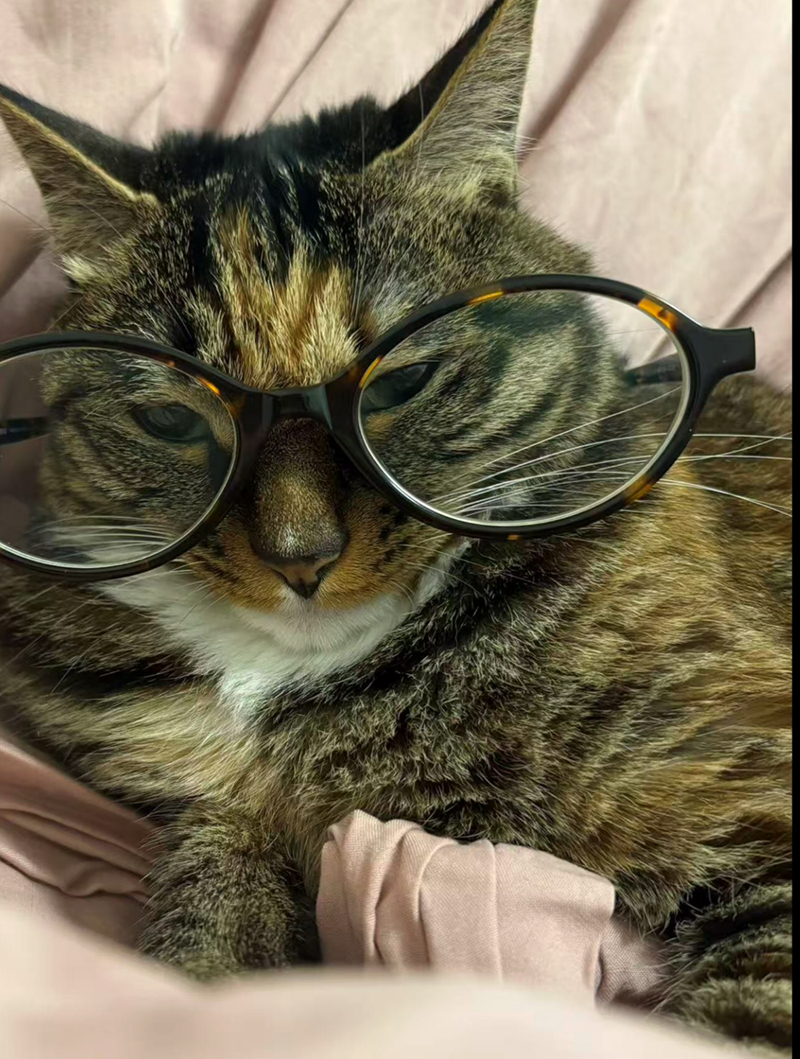 Cheezburger Image 10625231616