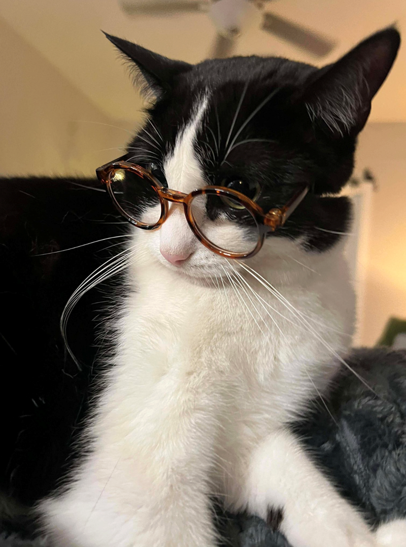 Cheezburger Image 10625231872