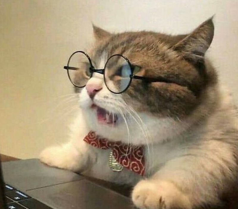 Cheezburger Image 10625232896