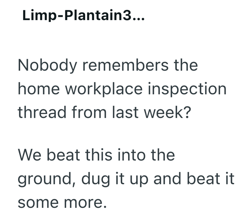 Limp-Plantain3... Nobody remembers the home workplace inspection. thread from last week? We beat this into the ground, dug it up and beat it. some more.